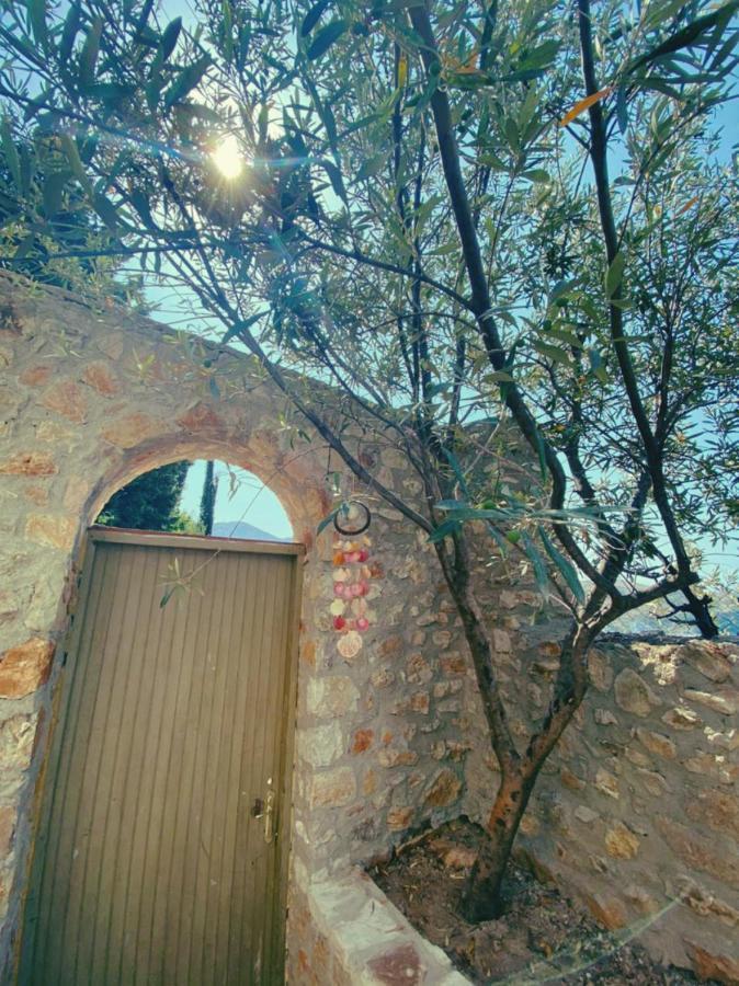 Lemons&Olives Rooms Himare Exteriör bild
